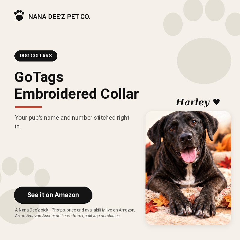 Personalized embroidered dog collar with pet name and phone number