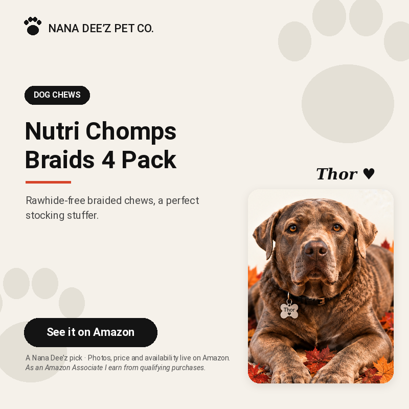 Nutri Chomps rawhide-free braided dog chews, 4 count