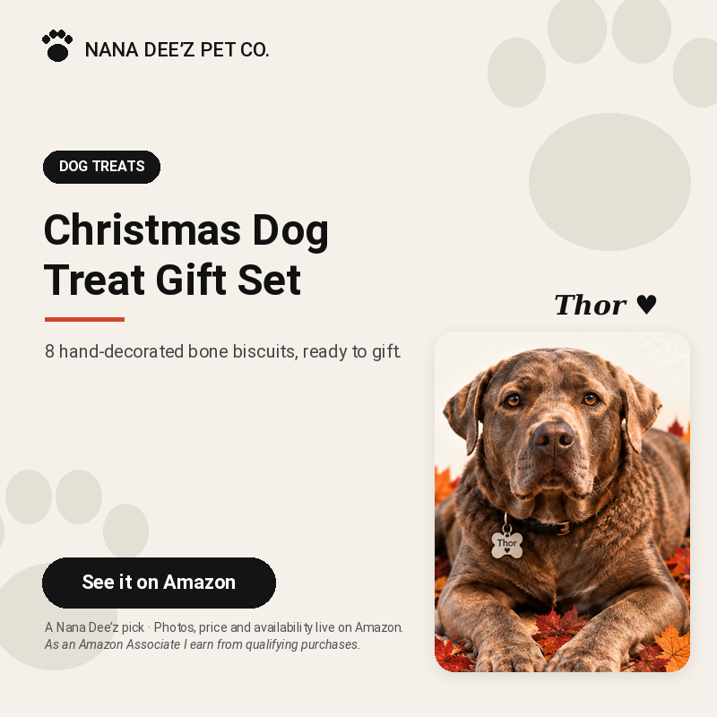 Christmas dog treat gift box with decorated bone-shaped biscuits