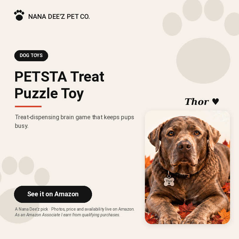 PETSTA treat-dispensing dog puzzle toy