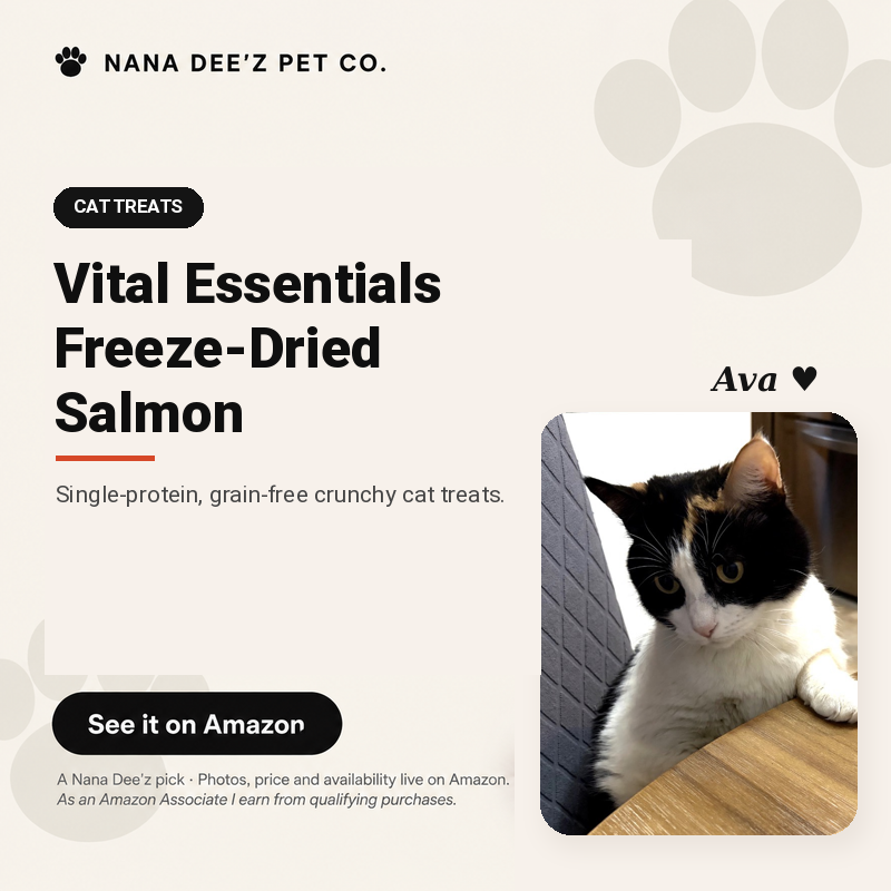 Vital Essentials freeze-dried salmon cat treats bag