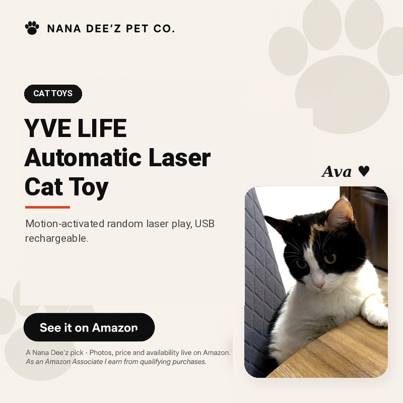 Automatic motion-activated laser cat toy