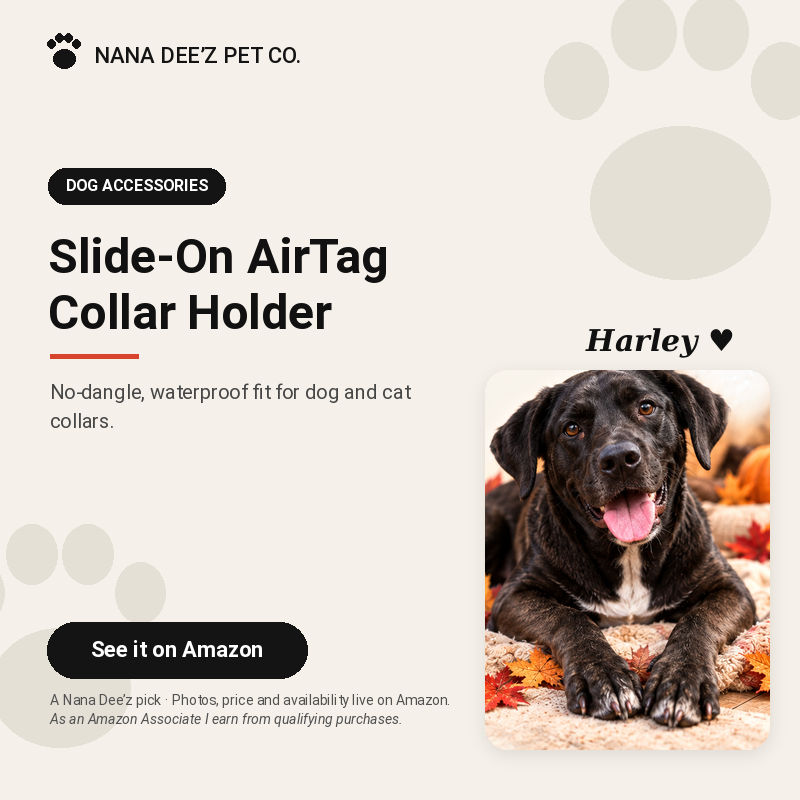 Slide-on waterproof AirTag holder for a dog collar