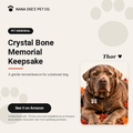 Crystal bone pet memorial keepsake