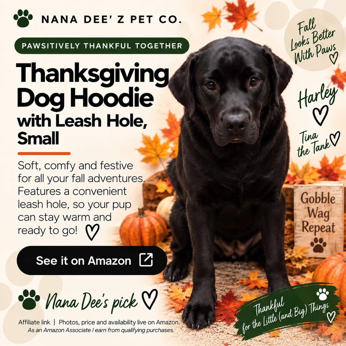 Fleece dog hoodie with fall leaf pattern and leash hole