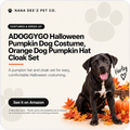 Thanksgiving dog cloak and hat set with pumpkin and maple leaf print