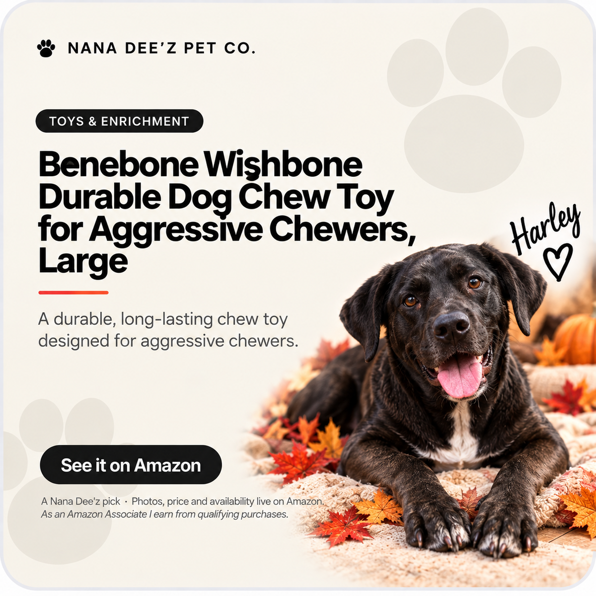 Benebone wishbone-shaped bacon flavored dog chew toy